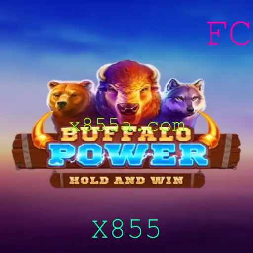Explorando BuffaloPower: O Jogo Dinâmico com a Nota de X855