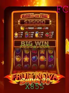 Explorando o Universo de FruitNovaSuper40: Diversão e Estratégia no Mundo das Frutas