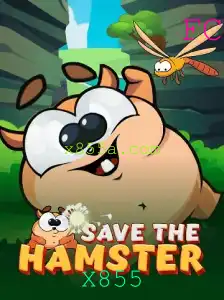 Descubra SavetheHamster: Um Novo Fenômeno no Mundo dos Jogos